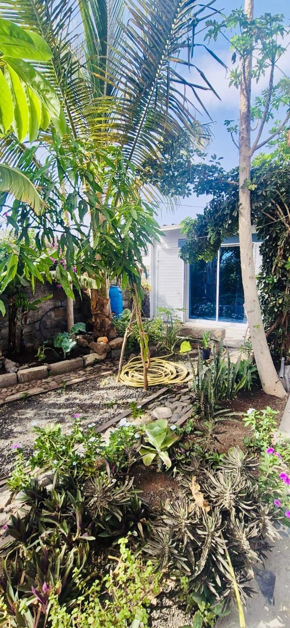 Ribeira da Prata Casa Chiquinha 아파트 외부 사진